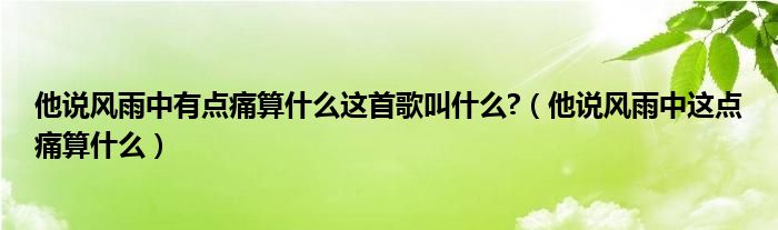 他说风雨中有点痛算什么这首歌叫什么?【他说风雨中这点痛算什么】