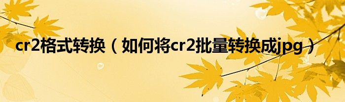 cr2格式转换【如何将cr2批量转换成jpg】