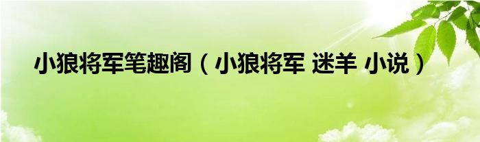 小狼将军笔趣阁【小狼将军 迷羊 小说】