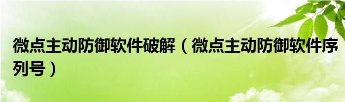 微点主动防御软件破解【微点主动防御软件序列号】