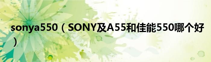 sonya550【SONY及A55和佳能550哪个好】