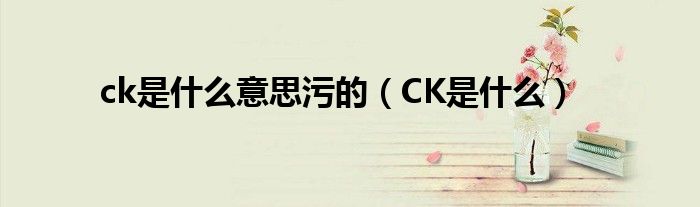 ck是什么意思污的【CK是什么】