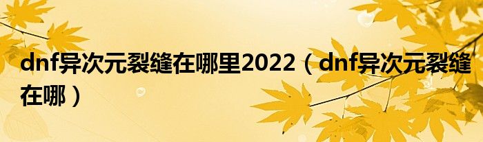 dnf异次元裂缝在哪里2022【dnf异次元裂缝在哪】