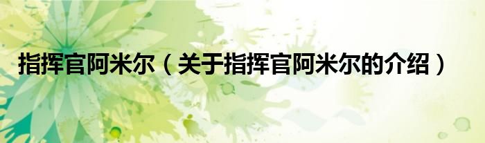 指挥官阿米尔【关于指挥官阿米尔的介绍】