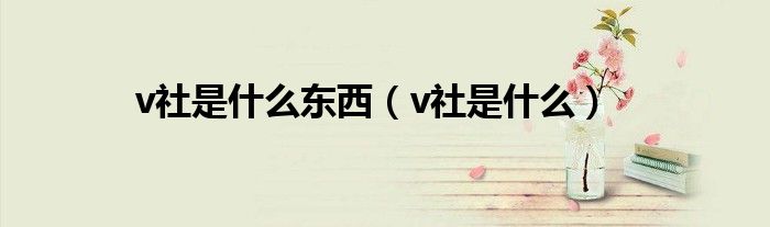 v社是什么东西【v社是什么】