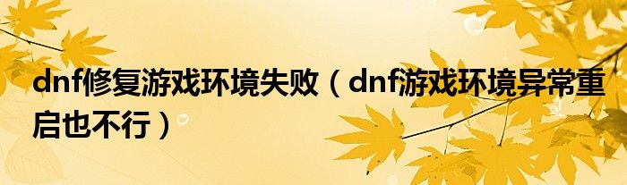 dnf修复游戏环境失败【dnf游戏环境异常重启也不行】