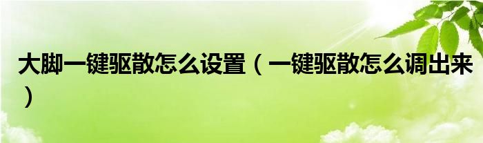 大脚一键驱散怎么设置【一键驱散怎么调出来】