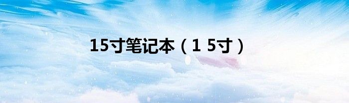 15寸笔记本【1 5寸】