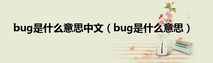 bug是什么意思中文【bug是什么意思】