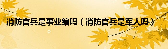 消防官兵是事业编吗【消防官兵是军人吗】