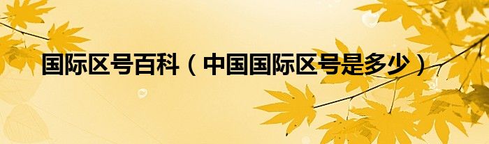 国际区号百科【中国国际区号是多少】