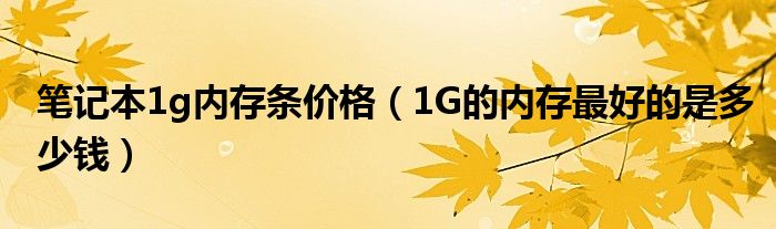 笔记本1g内存条价格【1G的内存最好的是多少钱】