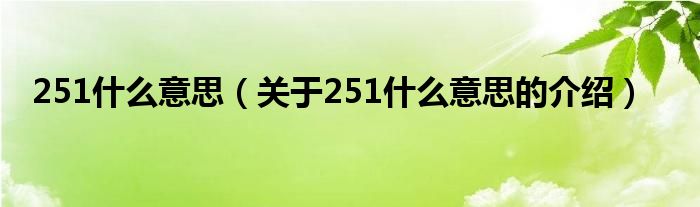 251什么意思【关于251什么意思的介绍】