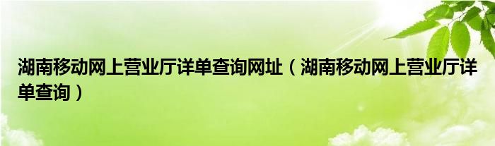 湖南移动网上营业厅详单查询网址【湖南移动网上营业厅详单查询】