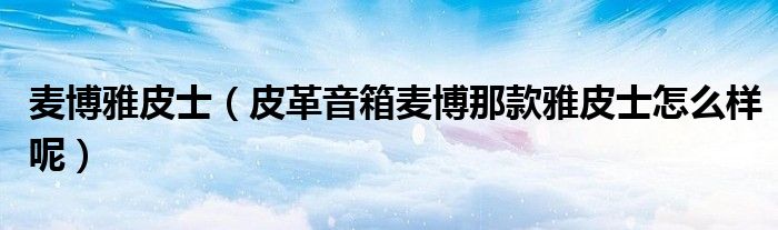 麦博雅皮士【皮革音箱麦博那款雅皮士怎么样呢】