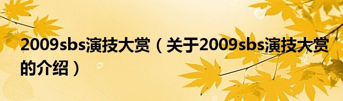 2009sbs演技大赏【关于2009sbs演技大赏的介绍】