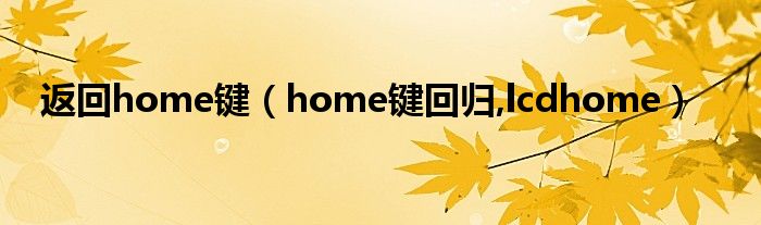 返回home键【home键回归,lcdhome】