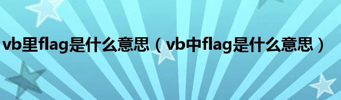 vb里flag是什么意思【vb中flag是什么意思】