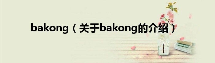 bakong【关于bakong的介绍】