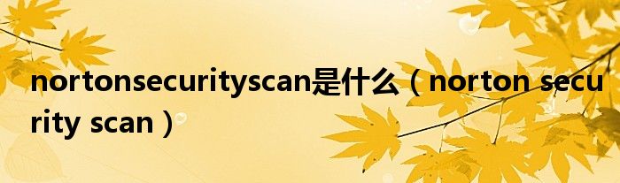 nortonsecurityscan是什么【norton security scan】