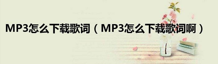 MP3怎么下载歌词【MP3怎么下载歌词啊】