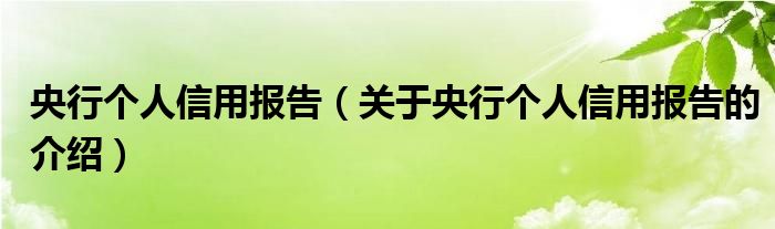 央行个人信用报告【关于央行个人信用报告的介绍】