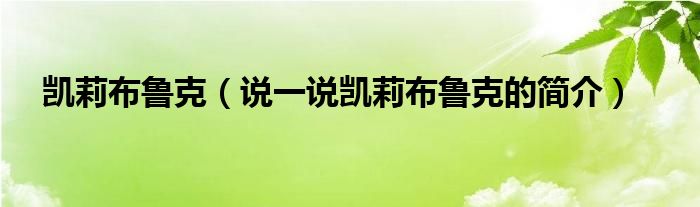 凯莉布鲁克【说一说凯莉布鲁克的简介】