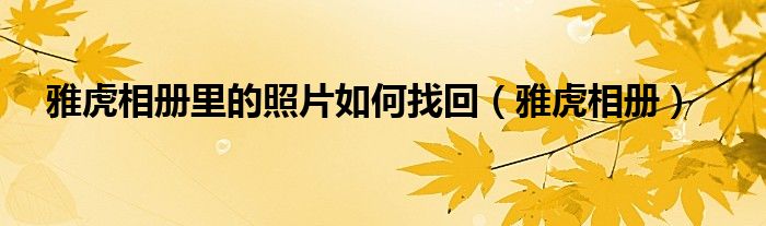 雅虎相册里的照片如何找回【雅虎相册】