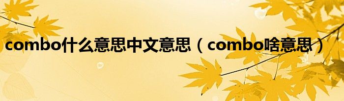 combo什么意思中文意思【combo啥意思】