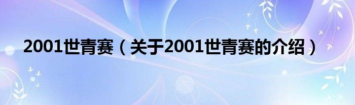 2001世青赛【关于2001世青赛的介绍】