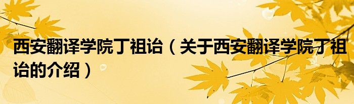 西安翻译学院丁祖诒【关于西安翻译学院丁祖诒的介绍】