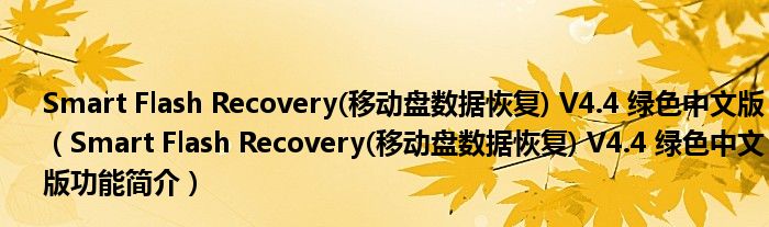 Smart Flash Recovery(移动盘数据恢复) V4.4 绿色中文版【Smart Flash Recovery(移动盘数据恢复) V4.4 绿色中文版功能简介】