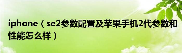 iphone【se2参数配置及苹果手机2代参数和性能怎么样】