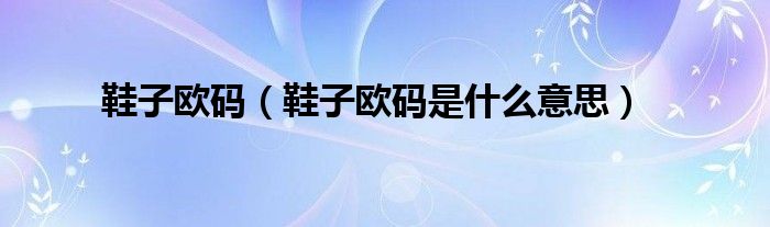 鞋子欧码【鞋子欧码是什么意思】