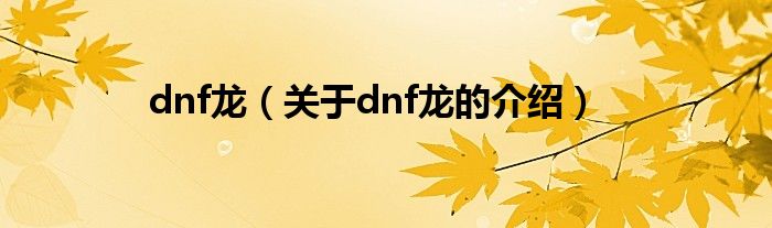 dnf龙【关于dnf龙的介绍】