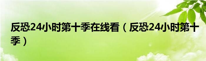 反恐24小时第十季在线看【反恐24小时第十季】