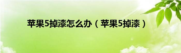 苹果5掉漆怎么办【苹果5掉漆】