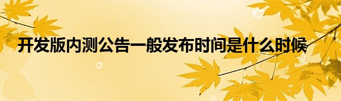 开发版内测公告一般发布时间是什么时候