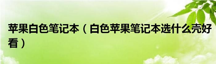 苹果白色笔记本【白色苹果笔记本选什么壳好看】