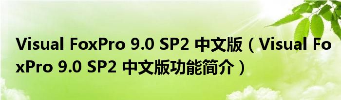 Visual FoxPro 9.0 SP2 中文版【Visual FoxPro 9.0 SP2 中文版功能简介】