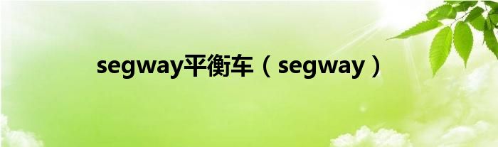 segway平衡车【segway】