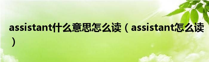 assistant什么意思怎么读【assistant怎么读】