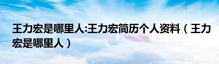 王力宏是哪里人:王力宏简历个人资料【王力宏是哪里人】