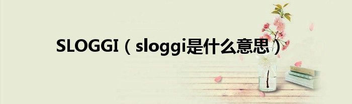 SLOGGI【sloggi是什么意思】