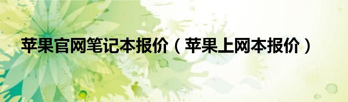 苹果官网笔记本报价【苹果上网本报价】