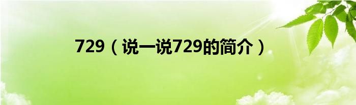 729【说一说729的简介】