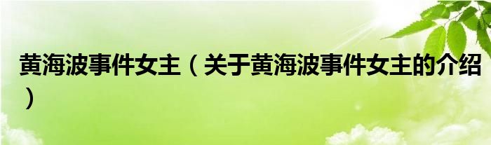 黄海波事件女主【关于黄海波事件女主的介绍】