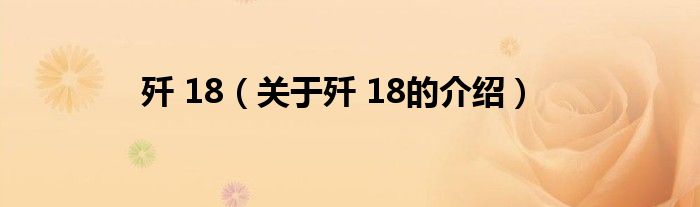 歼 18【关于歼 18的介绍】