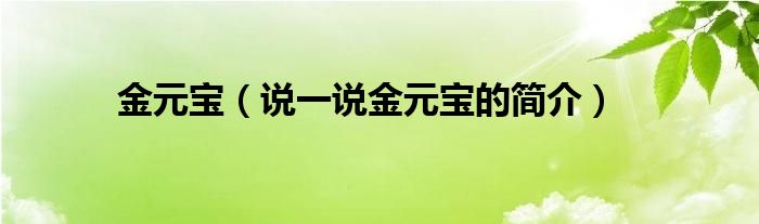 金元宝【说一说金元宝的简介】