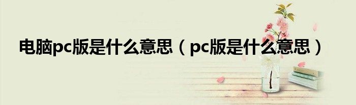 电脑pc版是什么意思【pc版是什么意思】